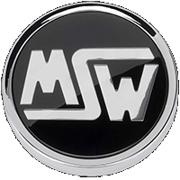 logo MSW